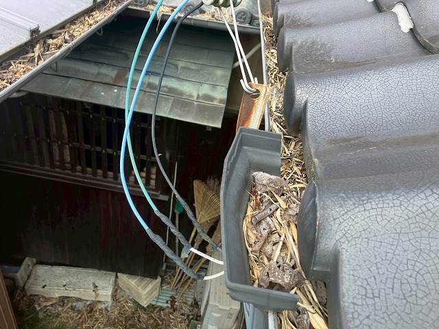 竪樋に竹の葉が詰まっている